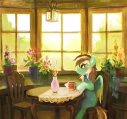 Size: 2668x2496 | Tagged: safe, artist:dearmary, imported from derpibooru, oc, oc only, pegasus, pony, chair, flower, flower pot, lantern, male, sitting, solo, stallion, table, window