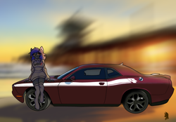 Size: 2360x1640 | Tagged: safe, artist:v-nuz, imported from derpibooru, oc, anthro, unguligrade anthro, car, clothes, dodge (car), grin, hoodie, lidded eyes, looking at you, sitting, smiling, socks, sunset, thigh highs