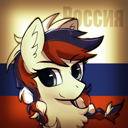 Size: 1000x1000 | Tagged: safe, artist:brella, imported from derpibooru, pony, nation ponies, ponified, russia, russian flag, solo