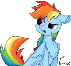 Size: 893x837 | Tagged: safe, artist:twiliset, imported from derpibooru, rainbow dash, pegasus, pony, chest fluff, cute, dashabetes, eye clipping through hair, female, floppy ears, fluffy, folded wings, g4, looking at something, looking away, mare, open mouth, signature, simple background, sitting, solo, three quarter view, turned head, white background, wings