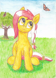 Size: 1024x1431 | Tagged: safe, artist:malte279, imported from derpibooru, oc, oc only, oc:colonia, butterfly, earth pony, earth pony oc, mascot, monarch butterfly, solo, traditional art, tree, watercolor painting