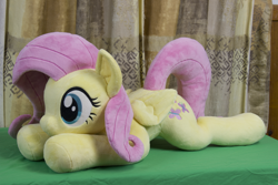 Size: 5184x3456 | Tagged: safe, artist:azgchip, imported from derpibooru, fluttershy, pegasus, pony, cute, female, g4, lying down, mare, photo, plushie, prone, shyabetes, solo, sploot