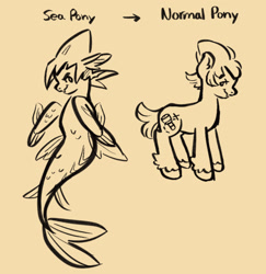 Size: 1280x1318 | Tagged: safe, artist:i-ate-a-purse, imported from derpibooru, earth pony, pony, seapony (g4), cookie run, crossover, crown, dorsal fin, fin, fin wings, fins, fish tail, floppy ears, flowing mane, flowing tail, jewelry, male, monochrome, ocean, ponified, regalia, scales, simple background, sorbet shark cookie, swimming, sword, tail, text, water, weapon, wings