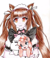 Size: 2451x2846 | Tagged: safe, artist:40kponyguy, derpibooru exclusive, imported from derpibooru, pinkie pie, cat, earth pony, pony, anime, catgirl, chocola (nekopara), clothes, colored pencil drawing, crossover, ear fluff, g4, head tilt, holding a pony, looking at you, maid, nekopara, pigtails, simple background, traditional art, twintails