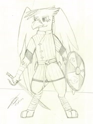 Size: 2212x2965 | Tagged: safe, artist:darthalex70, imported from derpibooru, oc, oc only, oc:duskclaw, griffon, armor, chainmail, fantasy, griffon oc, male, shield, sketch, solo, standing, sword, traditional art, weapon