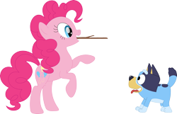 Size: 3573x2297 | Tagged: safe, artist:porygon2z, imported from derpibooru, pinkie pie, dog, earth pony, pony, australian cattle dog, bluey, bluey heeler, crossover, cute, diapinkes, duo, duo female, female, fetch, g4, mare, simple background, stick, tongue out, transparent background