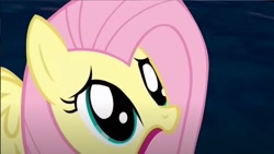 Size: 1920x1080 | Tagged: safe, artist:mobrosstudios, imported from derpibooru, fluttershy, pegasus, 2013, female, shocked, skellington's revenge, solo, youtube link, youtube poop