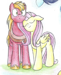 Size: 282x350 | Tagged: safe, artist:islamilenaria, imported from ponybooru, big macintosh, fluttershy, earth pony, pegasus, female, fluttermac, male, mare, shipping, stallion, straight, traditional art