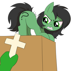 Size: 2000x2000 | Tagged: safe, artist:anonymous, imported from twibooru, oc, oc:anon, oc:filly anon, earth pony, human, pony, /mlp/, 4chan, angry, behaving like a cat, cross, face down ass up, female, filly, image, looking at something, png, ponified animal photo