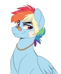 Size: 747x903 | Tagged: safe, artist:higgly-chan, imported from derpibooru, rainbow dash, pegasus, pony, bandage, bandaid, bandaid on nose, bust, feathered wings, female to male, folded wings, jewelry, looking at you, male, necklace, pegasus wings, portrait, rainbow blitz, rule 63, scar, simple background, smiling, solo, stallion, white background, wings