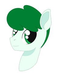Size: 900x1200 | Tagged: safe, artist:dyonys, imported from derpibooru, oc, oc:mintfeather, pegasus, pony, bust, male, portrait, smiling, solo, stallion