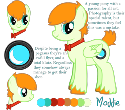 Size: 500x441 | Tagged: safe, imported from twibooru, oc, oc only, oc:moddie, pegasus, pony, pony creator, bowtie, colt, faggot, image, looking sideways, male, png, reference sheet, short tail, simple background, transparent background, unshorn fetlocks, vulgar, young