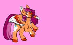 Size: 800x500 | Tagged: safe, artist:diurnalcritters, imported from derpibooru, oc, oc only, oc:summer rain, pegasus, pony, colored wings, female, mare, multicolored wings, pink background, simple background, solo, wings