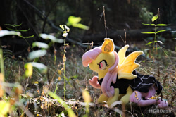 Size: 1097x728 | Tagged: safe, artist:mgrdash, imported from derpibooru, fluttershy, bat pony, pony, bat ponified, flutterbat, forest, irl, nature, photo, plushie, ponies in real life, race swap, solo, spider web, tree