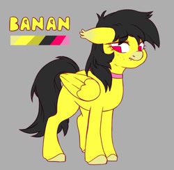 Size: 1497x1461 | Tagged: safe, artist:cheekipone, oc, oc only, oc:banan, pegasus, pony, choker, cloven hooves, ear tufts, fangs, female, folded wings, looking back, mare, pegasus oc, reference sheet, simple background, solo, standing, text, wings