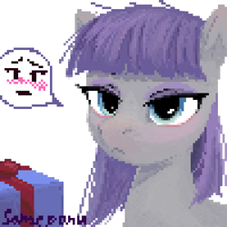 Size: 500x500 | Tagged: safe, artist:some_ponu, imported from derpibooru, maud pie, earth pony, pony, blushing, bust, female, mare, pixel art, present, simple background, speech bubble, white background