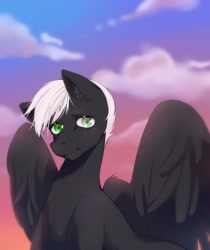 Size: 2480x2958 | Tagged: artist needed, safe, imported from derpibooru, oc, oc:shadow flare, pegasus, blind eye, cloud, high res, looking at you, male, scar, spread wings, sunset, wings