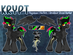 Size: 2000x1500 | Tagged: safe, artist:chvrchgrim, imported from derpibooru, oc, oc:krypt, pegasus, blaze (coat marking), chest fluff, coat markings, colored wings, cutie mark, ear piercing, facial markings, fluffy, g5, male, multicolored hair, pegasus oc, piercing, pronouns, reference sheet, shaggy beard, socks (coat markings), solo, stallion, two toned wings, unshorn fetlocks, wings