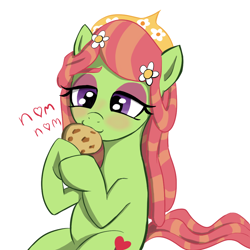 Size: 1000x1000 | Tagged: safe, artist:tenklop, imported from derpibooru, tree hugger, earth pony, pony, friendship is magic, cookie, dreadlocks, food, g4, simple background, solo, white background