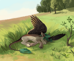 Size: 3000x2500 | Tagged: safe, artist:sivelu, imported from derpibooru, oc, oc only, alicorn, curved horn, field, forest, horn, leonine tail, lying down, male, nature, scenery, sleeping, solo, stallion, tail, tree, unshorn fetlocks