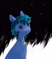 Size: 3500x4000 | Tagged: safe, artist:sivelu, imported from derpibooru, oc, oc only, earth pony, pony, ear fluff, jewelry, male, necklace, solo, stallion, stars