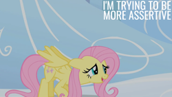 Size: 2000x1125 | Tagged: safe, edit, edited screencap, editor:quoterific, imported from derpibooru, screencap, fluttershy, sonic rainboom (episode), solo