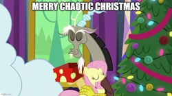 Size: 888x499 | Tagged: safe, edit, edited screencap, imported from derpibooru, screencap, discord, fluttershy, draconequus, pegasus, pony, best gift ever, caption, christmas, christmas tree, duo, eyes closed, female, holiday, hug, image macro, imgflip, male, mare, text, tree