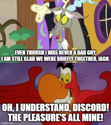 Size: 500x562 | Tagged: safe, edit, edited screencap, imported from derpibooru, screencap, discord, bird, draconequus, parrot, discordant harmony, aladdin, caption, crossover, disney, iago, image macro, imgflip, text