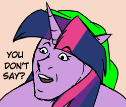 Size: 1069x902 | Tagged: safe, artist:bexdrey, imported from derpibooru, twilight sparkle, human, funny, hat, horn, humanized, meme, nicolas cage, parody, simple background, you don't say