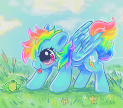 Size: 1600x1400 | Tagged: safe, artist:flutterbutton, imported from derpibooru, rainbow dash, frog, pegasus, pony, cattails, cloud, cute, dashabetes, female, flower, grass, looking at something, mare, partially open wings, reeds, round ears, sky, solo, standing, tongue out, wings