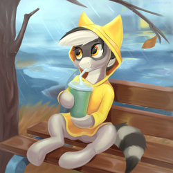 Size: 2698x2696 | Tagged: safe, artist:foxpit, artist:pabbley, imported from derpibooru, oc, oc only, oc:bandy cyoot, hybrid, pony, raccoon, raccoon pony, bench, clothes, female, leaf, mare, rain, raincoat, solo, tree