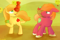 Size: 1280x859 | Tagged: safe, artist:cottonsulk, imported from derpibooru, big macintosh, braeburn, pony, apple, basket, duo, food, male, stallion