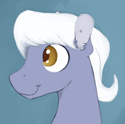 Size: 500x497 | Tagged: safe, artist:cottonsulk, imported from derpibooru, oc, oc only, oc:royal riff, earth pony, pony, bust, male, solo, stallion