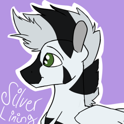 Size: 600x600 | Tagged: safe, artist:cottonsulk, imported from derpibooru, oc, oc only, oc:silver lining, pegasus, male, solo, stallion