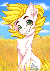 Size: 700x1002 | Tagged: safe, artist:falafeljake, imported from derpibooru, oc, oc:alabastor amril, earth pony, pony, commission, cute, field, solo, ych result