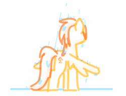 Size: 383x292 | Tagged: safe, artist:algoatall, spitfire, pegasus, pony, animated, gartic phone, shower, simple background, solo, wet, wet mane, white background