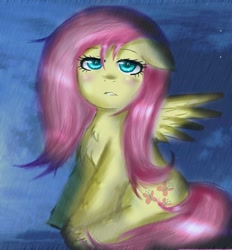 Size: 1000x1077 | Tagged: safe, artist:puffyrin, imported from derpibooru, fluttershy, pegasus, pony, floppy ears, old art, rain, sitting, solo, wet