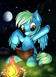 Size: 1703x2304 | Tagged: safe, artist:yashn37, imported from derpibooru, oc, oc only, pegasus, pony, book, campfire, clothes, female, fire, night, pegasus oc, socks, solo, striped socks