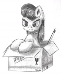 Size: 1608x1977 | Tagged: safe, artist:yashn37, imported from derpibooru, octavia melody, earth pony, pony, box, female, monochrome, pony in a box, solo, traditional art