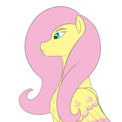 Size: 1000x1000 | Tagged: safe, artist:saint boniface, imported from derpibooru, fluttershy, pegasus, pony, female, mare, simple background, solo, white background