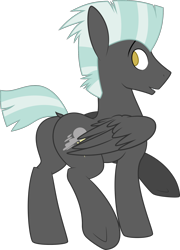 Size: 1280x1781 | Tagged: safe, artist:cottonsulk, artist:toughbluff, imported from derpibooru, thunderlane, pegasus, pony, butt, looking back, male, plot, simple background, solo, stallion, transparent background, vector