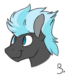 Size: 386x430 | Tagged: safe, artist:cottonsulk, imported from derpibooru, thunderlane, pony, bust, male, simple background, solo, stallion, white background