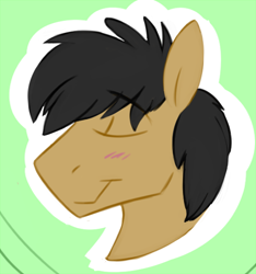 Size: 500x535 | Tagged: safe, artist:cottonsulk, imported from derpibooru, oc, oc only, oc:cleppy clep, pony, bust, eyes closed, green background, male, simple background, solo, stallion