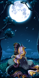 Size: 2008x3983 | Tagged: safe, artist:pridark, imported from derpibooru, oc, oc only, alicorn, earth pony, pony, alicorn oc, duo, horn, moon, night, stars, tree, wings