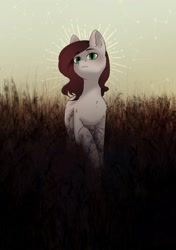 Size: 2039x2894 | Tagged: safe, artist:glumarkoj, imported from derpibooru, oc, oc only, grass, green eyes, halo, stars, tall grass