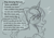 Size: 1005x711 | Tagged: safe, anonymous artist, imported from derpibooru, part of a set, izzy moonbow, pony, unicorn, series:anorexic sunny, anorexia, concerned, crying, female, g5, hoof on chest, implied sunny starscout, implied weight loss, looking at someone, looking down, mare, offscreen character, part of a series, sad, speech bubble, talking, unshorn fetlocks