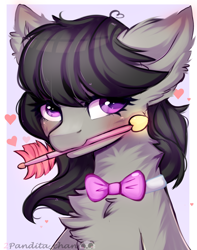 Size: 1342x1699 | Tagged: safe, artist:2pandita, imported from derpibooru, octavia melody, earth pony, pony, arrow, blushing, chest fluff, ear fluff, heart, looking at you, mouth hold, solo