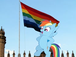 Size: 1600x1200 | Tagged: safe, artist:dashiesparkle, imported from derpibooru, rainbow dash, pegasus, pony, cusco, female, flag, flag of cusco, irl, mare, not pride flag, peru, photo, ponies in real life, solo