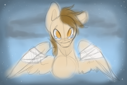 Size: 1280x853 | Tagged: safe, artist:sinclair2013, imported from derpibooru, oc, oc only, oc:sinclair, pegasus, pony, bandage, bust, looking at you, portrait, sketch, solo