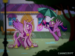 Size: 1280x960 | Tagged: safe, artist:caninecrypt, imported from derpibooru, princess cadance, spike, twilight sparkle, alicorn, dragon, pony, canterlot, cute, cutedance, female, glowing, glowing horn, horn, magic, male, mare, rain, sisters-in-law, smiling, spikabetes, spread wings, telekinesis, twiabetes, twilight sparkle (alicorn), umbrella, wings